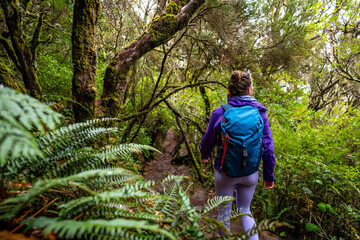 Naklejka na ściany i meble Female tourist with backpack hikes down on a stair-like path through a bright laruel forest. 25 Fontes Waterfalls, Madeira Island, Portugal, Europe.