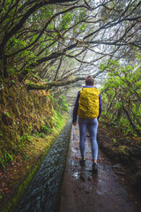 Obraz premium Female tourist with backpack walks on a path next to a water channel through a laural forest on a rainy day. 25 Fontes waterfalls, Madeira Island, Portugal, Europe.