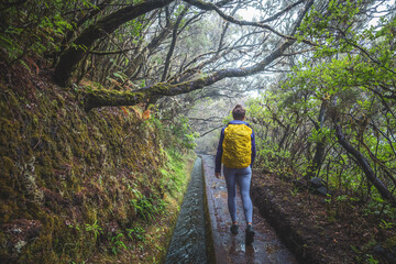 Female tourist with backpack walking on water channel path through a laural forest on a rainy day....