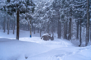 雪の森に囲まれた中でキャンプ