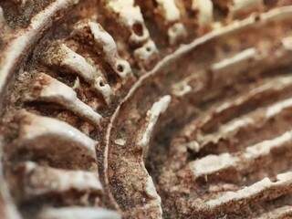 Close-up of Colosseum toy surface