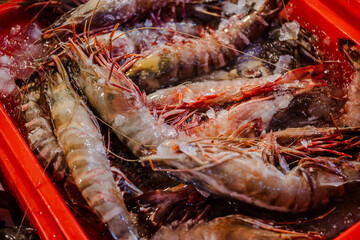Green tiger prawn.