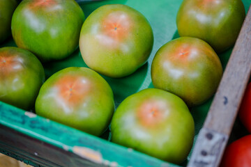 Tomato.