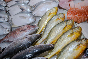 Fish stall.