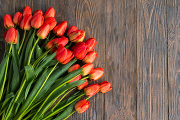 Fresh orange tulips on a wooden background. Springtime. Greeting card with copy space for Valentine's Day, Woman's Day and Mother's Day.