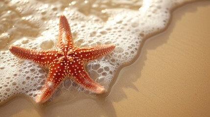 Fototapeta na wymiar Orange starfish on wet sand, sea foam, water's edge, ocean life, marine theme, natural seaside setting, aquatic wildlife, sandy texture, coastal beach scene