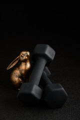 Holiday fitness and Happy Easter, gold metal bunny with a pair of dumbbells on a black background...