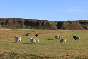 Beautiful Scenry Places in Iceland