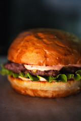 Fresh tasty burger on dark background. Close up. High quality photo
