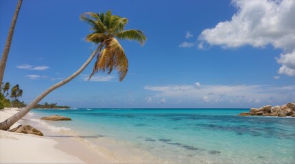 Tropical beach in Dominican Republic