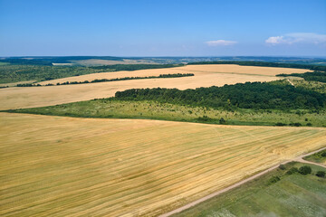 Obraz premium Aerial landscape view of yellow cultivated agricultural field with dry straw of cut down wheat after harvesting