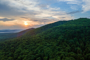 Aerial view of green pine forest with dark spruce trees covering mountain hills at sunset. Nothern woodland scenery from above