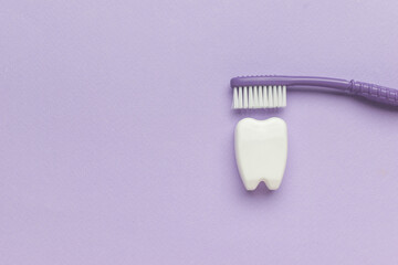 A purple toothbrush and a bison figurine on a purple background.