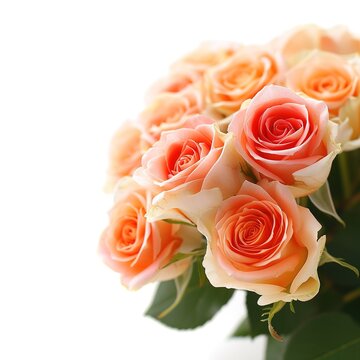 beautiful bouquet of rose flowers isolated on white background, generative ai