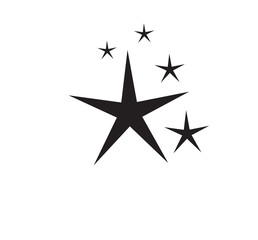 Obraz premium Sparkle star icons. Shine icons. Stars sparkles vector