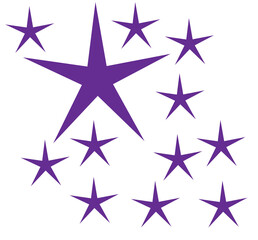 Fototapeta premium Sparkle star icons. Shine icons. Stars sparkles vector