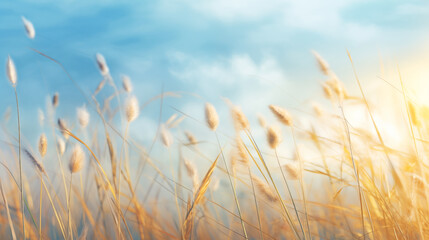 Wild grass in a macro image, showcasing a shallow depth of field. Abstract summer nature background with clear skies and sunlight. Generative AI.