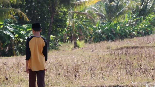 Teenage boy in yellow shirt and black skullcap walking in a rice field on a sunny morning. perfect for a village vacation theme.