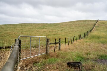 shut farm gate on a fence line on a livestock farm in australia in summer