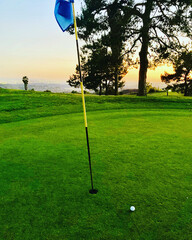 Obraz premium Almost Hole in One