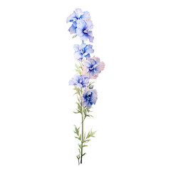 Obraz premium Birth Month Flowers July Larkspur