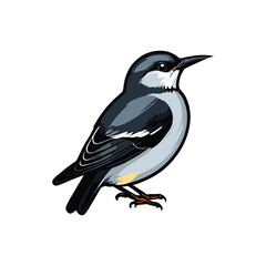 vector beautiful bird flat design .