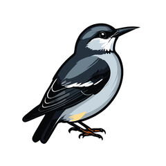 vector beautiful bird flat design .
