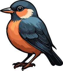 vector beautiful bird flat design .