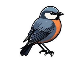 vector beautiful bird flat design .
