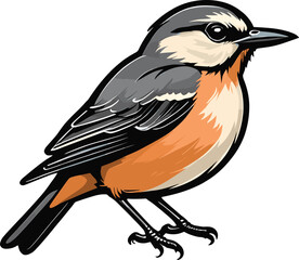 vector beautiful bird flat design .