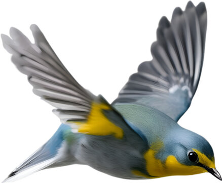 Close-up image of a Tropical parula bird. 