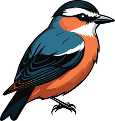 vector beautiful bird flat design .