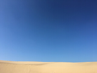 sand dunes in the desert