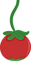 food icon illustration, a sprig of fresh red tomatoes