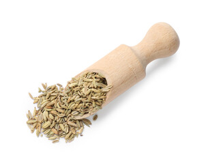 Scoop with dry fennel seeds isolated on white, top view