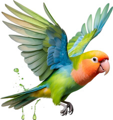 Fototapeta premium Close-up image of a Peach-Faced Lovebird. 