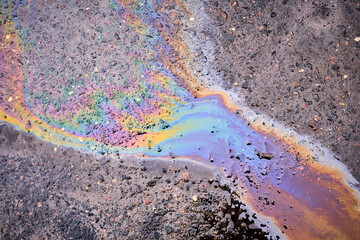 Multi-colored poisonous spots of spilled gasoline on wet pavement during rain.