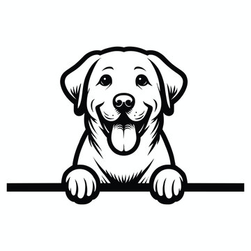 Labrador Retriever dog peeking silhouette illustration vector
