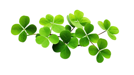 St. Patrick’s Day isolated on transparent background, Generative ai.
