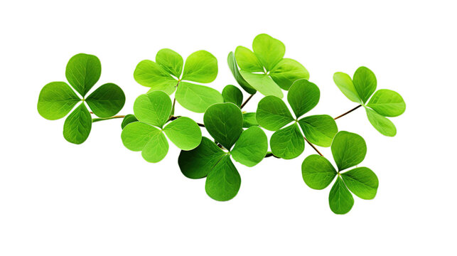 St. Patrick’s Day isolated on transparent background, Generative ai.