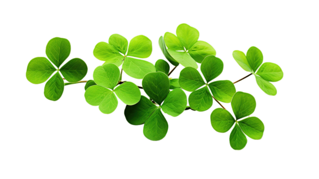 St. Patrick’s Day isolated on transparent background, Generative ai. - Powered by Adobe