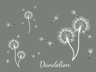 Abstract background dandelion design for decoration design.