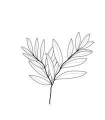 Botanical black and white leaves