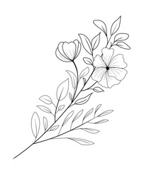 Botanical black and white flowers