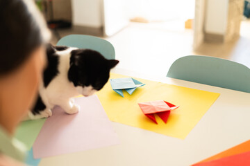 A curious cat examines origami creations, adding a playful twist to an April Fools' Day crafting...