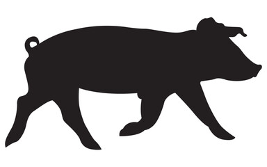 Pig black vector on white background pig wild animal vector illustration.