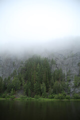 forest and rocks in the morning mist