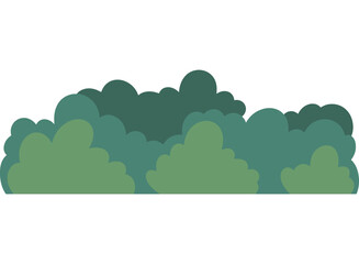 Fototapeta premium Bushes