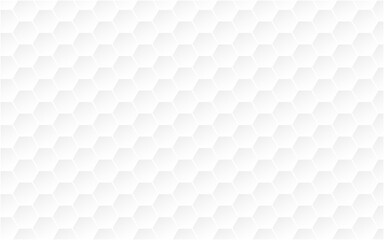 Abstract White Hexagon Background. hexagon pattern