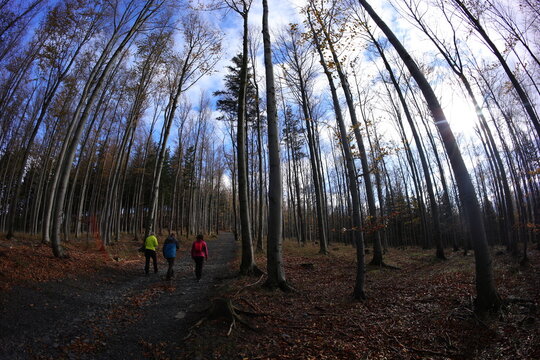 Gravel riding in chzech republic, beskid mountains